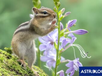 Διάβασε την προσωπική σου πρόβλεψη, για σήμερα 22/04/2026