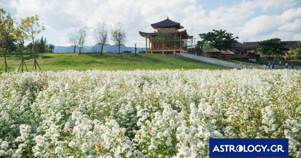 Κινέζικο Ωροσκόπιο 2026: Προβλέψεις των ζωδίων από 17/04 έως 16/05