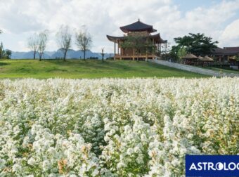 Κινέζικο Ωροσκόπιο 2026: Προβλέψεις των ζωδίων από 17/04 έως 16/05