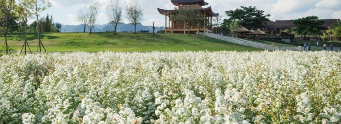 Κινέζικο Ωροσκόπιο 2026: Προβλέψεις των ζωδίων από 17/04 έως 16/05