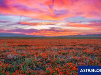 Διάβασε την προσωπική σου πρόβλεψη, για σήμερα 07/04/2026
