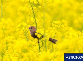 Διάβασε την προσωπική σου πρόβλεψη, για σήμερα 04/04/2026