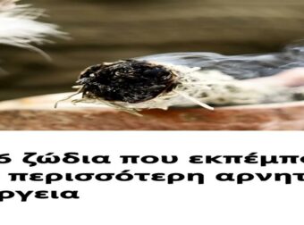 Τα 6 ζώδια που εκπέμπουν την περισσότερη αρνητική ενέργεια
