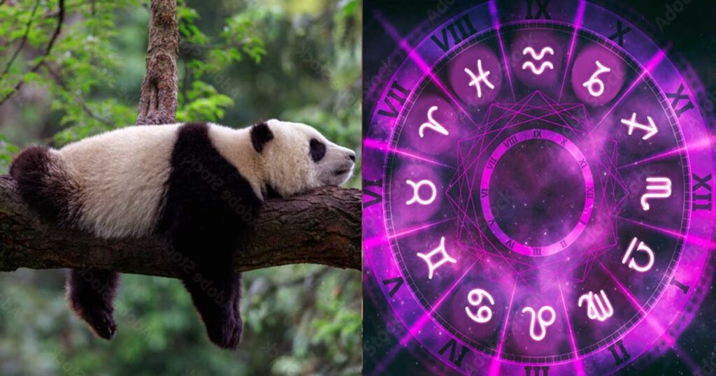 Αuτό είναι το πιο τεμπέλικο ζώδιο – Βαριέται τα πάντα, δεν ξεκολλάει από τον καναπέ