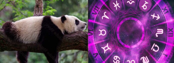 Αuτό είναι το πιο τεμπέλικο ζώδιο – Βαριέται τα πάντα, δεν ξεκολλάει από τον καναπέ