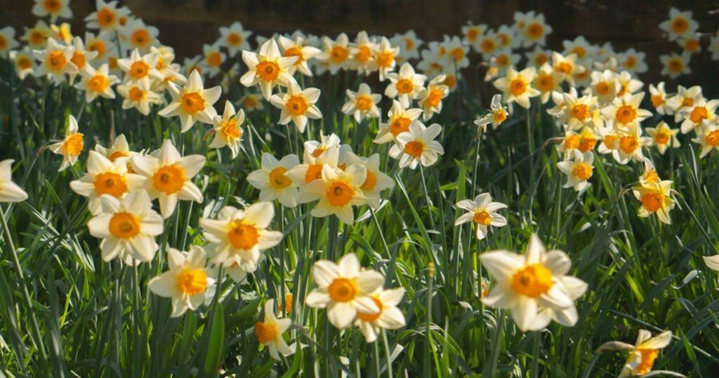 Ζώδια 22/4: Αστρολογικό alert – Η μέρα που όλα δοκιμάζονται