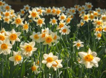 Ζώδια 22/4: Αστρολογικό alert – Η μέρα που όλα δοκιμάζονται