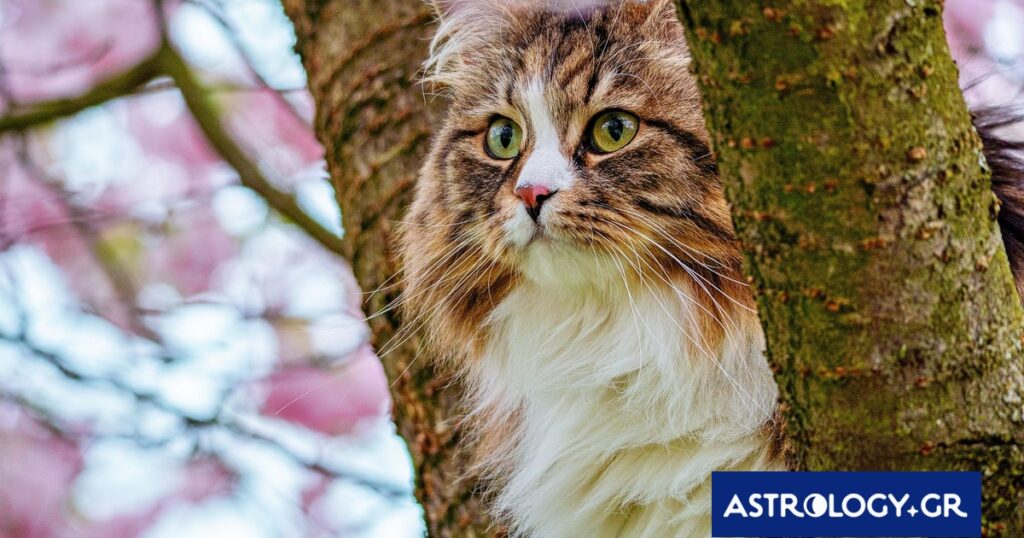 Διάβασε την προσωπική σου πρόβλεψη, για σήμερα 02/04/2026