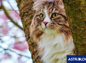 Διάβασε την προσωπική σου πρόβλεψη, για σήμερα 02/04/2026