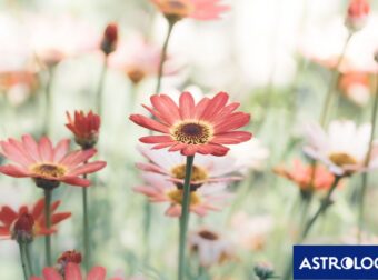 Διάβασε την προσωπική σου πρόβλεψη, για σήμερα 27/04/2026