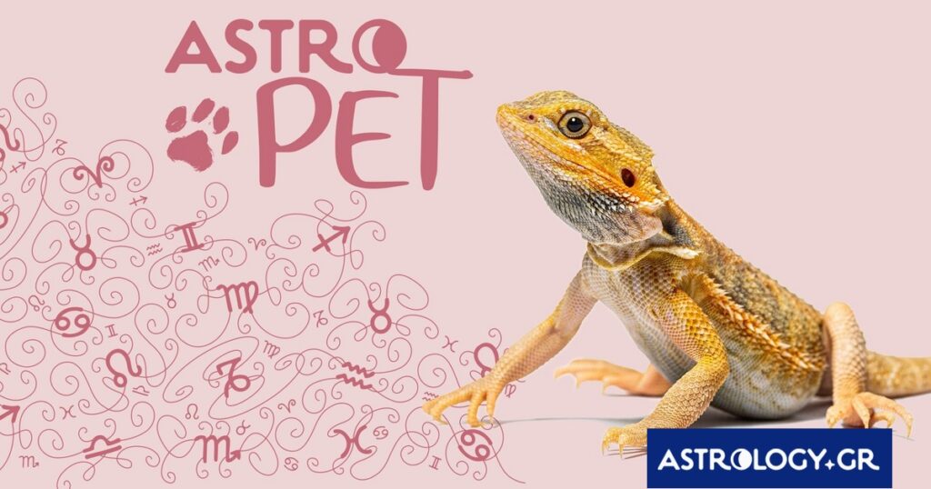 AstroPet από 07/04 έως 13/04: Εβδομαδιαίες προβλέψεις για το κατοικίδιό σου