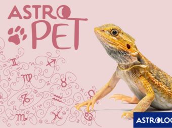 AstroPet από 07/04 έως 13/04: Εβδομαδιαίες προβλέψεις για το κατοικίδιό σου