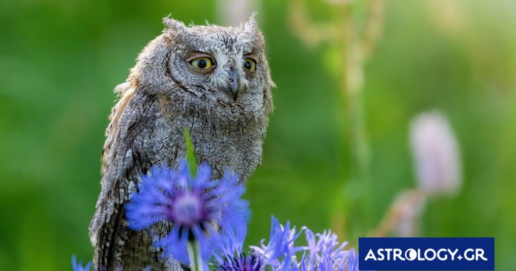 Διάβασε την προσωπική σου πρόβλεψη, για σήμερα 26/04/2026