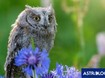 Διάβασε την προσωπική σου πρόβλεψη, για σήμερα 26/04/2026