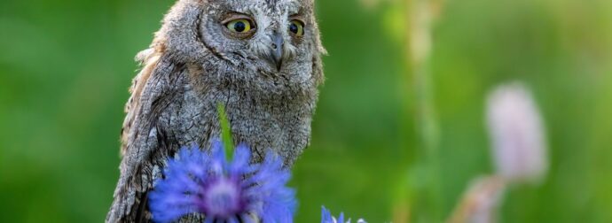Διάβασε την προσωπική σου πρόβλεψη, για σήμερα 26/04/2026