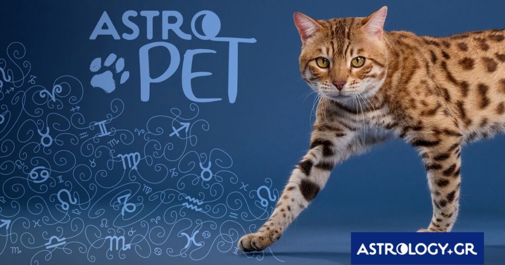 AstroPet από 31/03 έως 06/04: Εβδομαδιαίες προβλέψεις για το κατοικίδιό σου