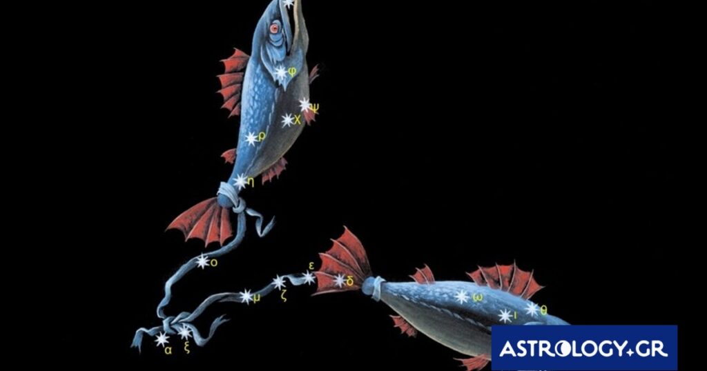 Τα θετικά χαρακτηριστικά του Ιχθύ