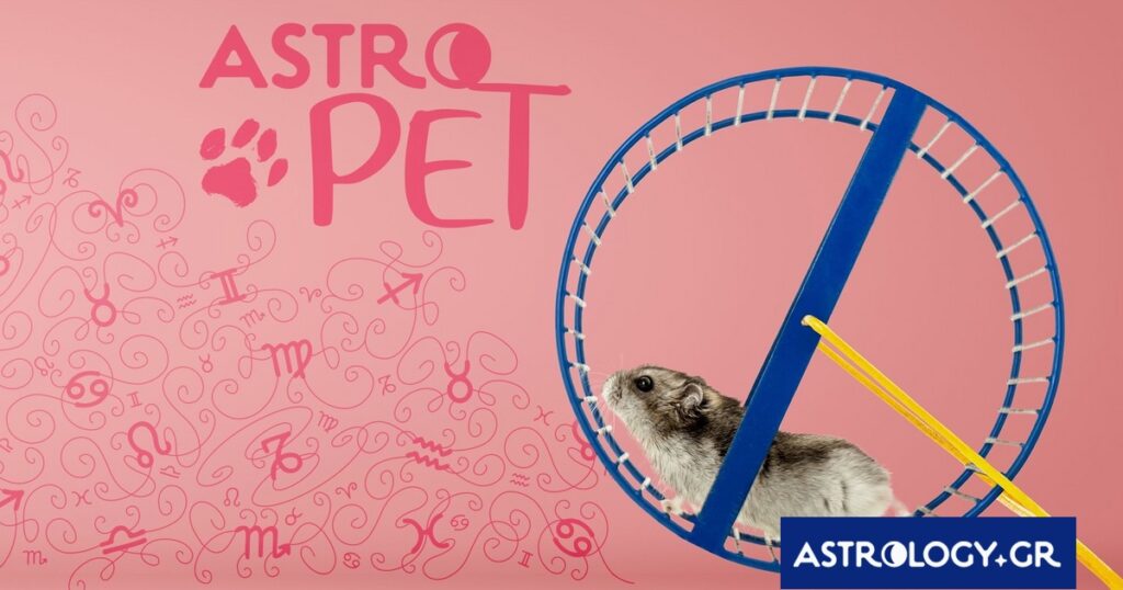 AstroPet από 05/05 έως 11/05: Εβδομαδιαίες προβλέψεις για το κατοικίδιό σου