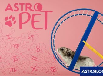 AstroPet από 05/05 έως 11/05: Εβδομαδιαίες προβλέψεις για το κατοικίδιό σου