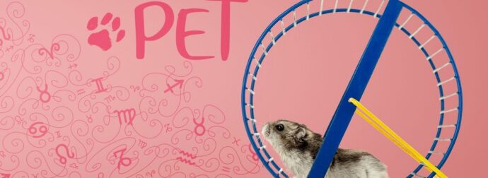 AstroPet από 05/05 έως 11/05: Εβδομαδιαίες προβλέψεις για το κατοικίδιό σου