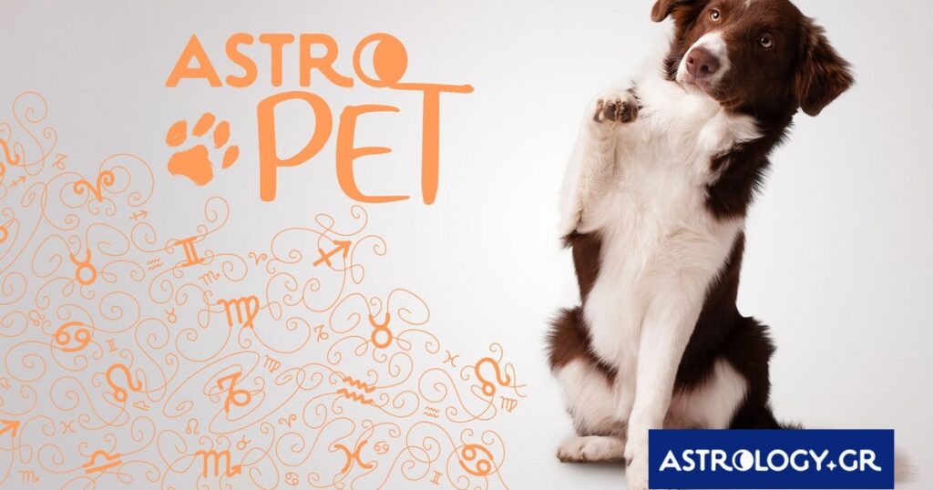 AstroPet από 19/05 έως 25/05: Εβδομαδιαίες προβλέψεις για το κατοικίδιό σου