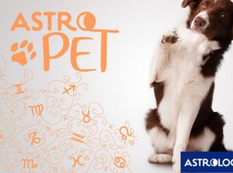 AstroPet από 19/05 έως 25/05: Εβδομαδιαίες προβλέψεις για το κατοικίδιό σου