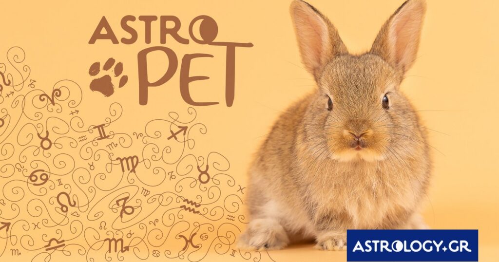 AstroPet από 26/05 έως 01/06: Εβδομαδιαίες προβλέψεις για το κατοικίδιό σου
