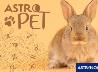 AstroPet από 26/05 έως 01/06: Εβδομαδιαίες προβλέψεις για το κατοικίδιό σου