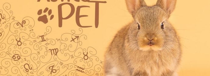 AstroPet από 26/05 έως 01/06: Εβδομαδιαίες προβλέψεις για το κατοικίδιό σου