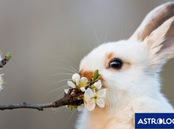 Διάβασε την προσωπική σου πρόβλεψη, για σήμερα 19/05/2026