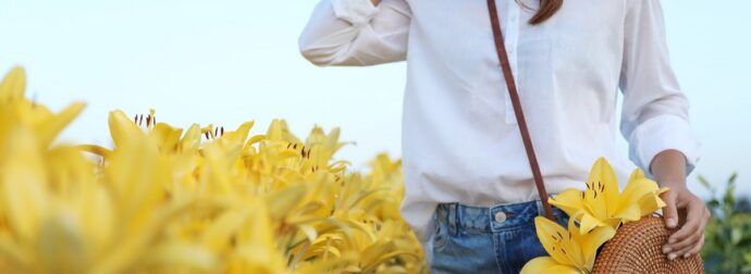 Ημερήσιες Προβλέψεις για όλα τα Ζώδια, 24/05/26: Τα συναισθήματα μπερδεύουν τις σκέψεις