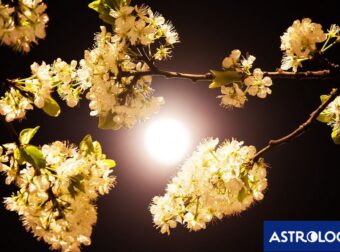 2 ζώδια θα είναι απαιτητικά με τον εαυτό τους και τους άλλους, σήμερα 01/05 – Δες, αν είσαι μέσα!