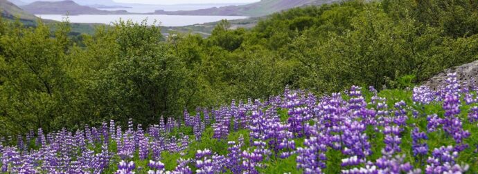 Διάβασε την προσωπική σου πρόβλεψη, για σήμερα 30/05/2026