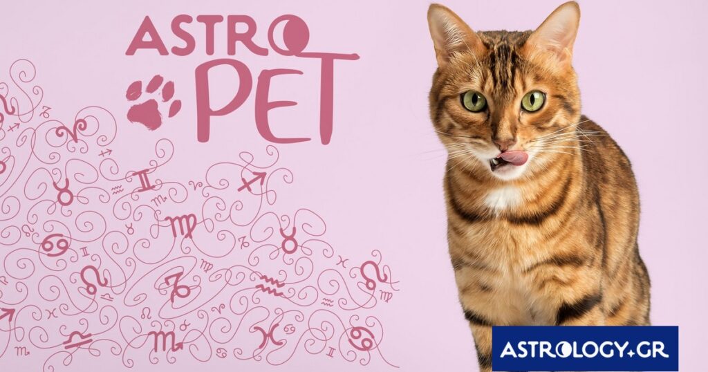 AstroPet από 12/05 έως 18/05: Εβδομαδιαίες προβλέψεις για το κατοικίδιό σου