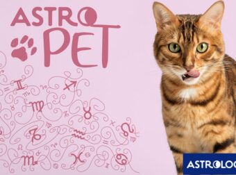 AstroPet από 12/05 έως 18/05: Εβδομαδιαίες προβλέψεις για το κατοικίδιό σου