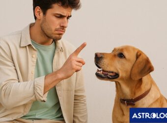 Ζώδια Σήμερα 24/05: Αυστηρή κριτική και έλλειψη συνεννόησης