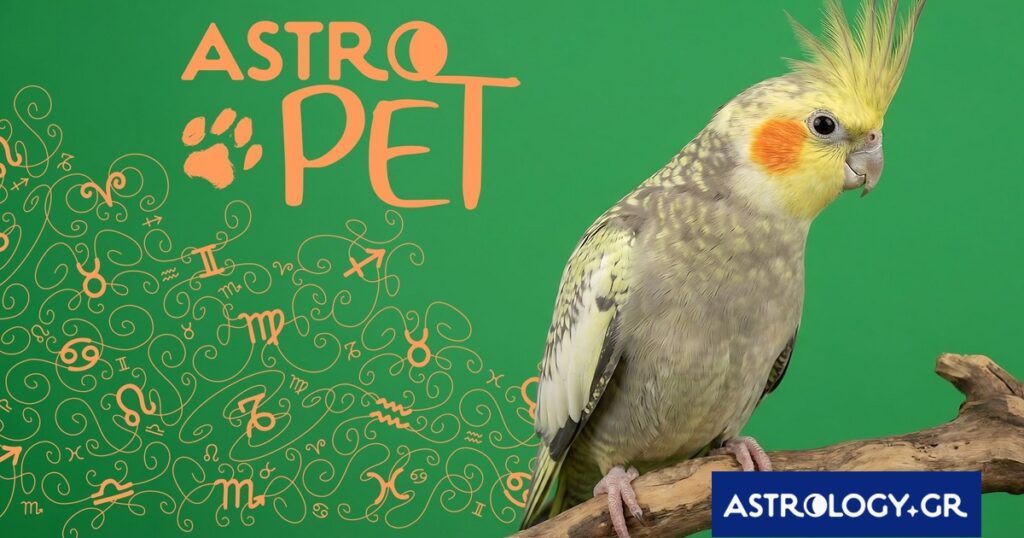 AstroPet από 16/06 έως 22/06: Εβδομαδιαίες προβλέψεις για το κατοικίδιό σου