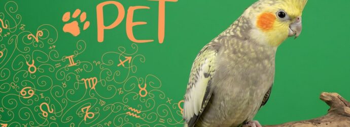 AstroPet από 16/06 έως 22/06: Εβδομαδιαίες προβλέψεις για το κατοικίδιό σου