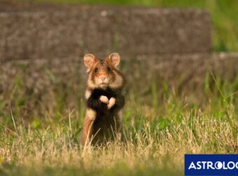 Διάβασε την προσωπική σου πρόβλεψη, για σήμερα 29/06/2026