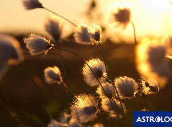 Διάβασε την προσωπική σου πρόβλεψη, για σήμερα 23/06/2026