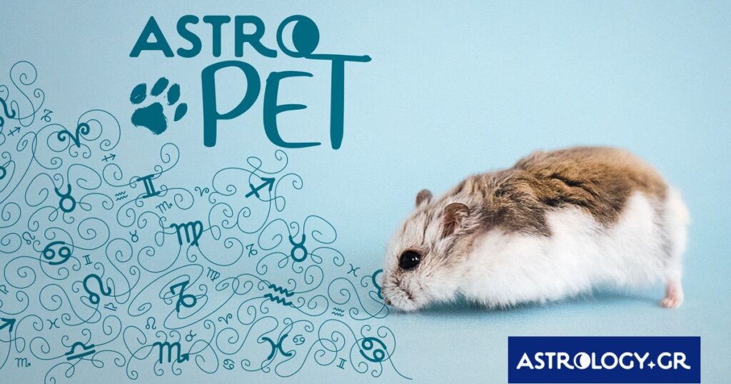 AstroPet από 09/06 έως 15/06: Εβδομαδιαίες προβλέψεις για το κατοικίδιό σου