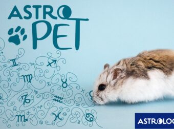 AstroPet από 09/06 έως 15/06: Εβδομαδιαίες προβλέψεις για το κατοικίδιό σου