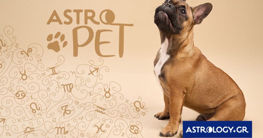 AstroPet από 02/06 έως 08/06: Εβδομαδιαίες προβλέψεις για το κατοικίδιό σου