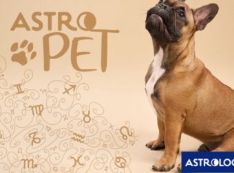 AstroPet από 02/06 έως 08/06: Εβδομαδιαίες προβλέψεις για το κατοικίδιό σου