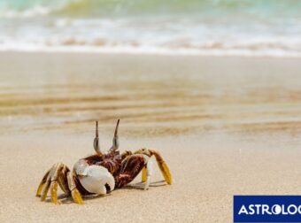 Διάβασε την προσωπική σου πρόβλεψη, για σήμερα 22/06/2026