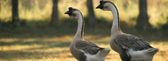 Διάβασε την προσωπική σου πρόβλεψη, για σήμερα 12/06/2026