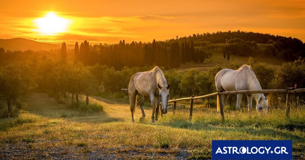 Διάβασε την προσωπική σου πρόβλεψη, για σήμερα 24/06/2026
