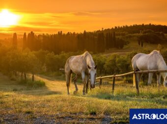 Διάβασε την προσωπική σου πρόβλεψη, για σήμερα 24/06/2026