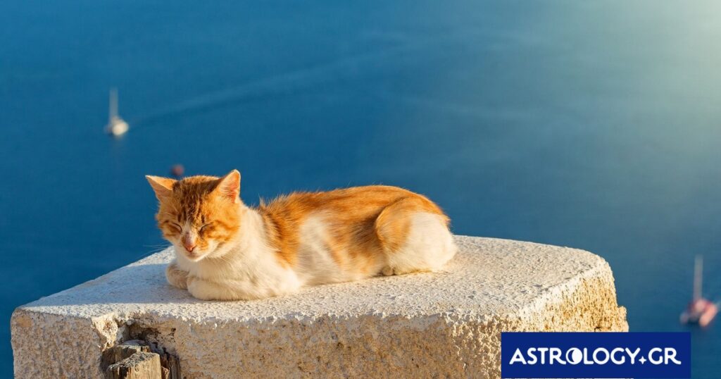 Διάβασε την προσωπική σου πρόβλεψη, για σήμερα 02/06/2026