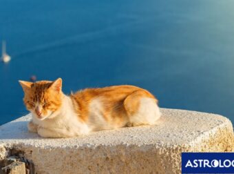 Διάβασε την προσωπική σου πρόβλεψη, για σήμερα 02/06/2026